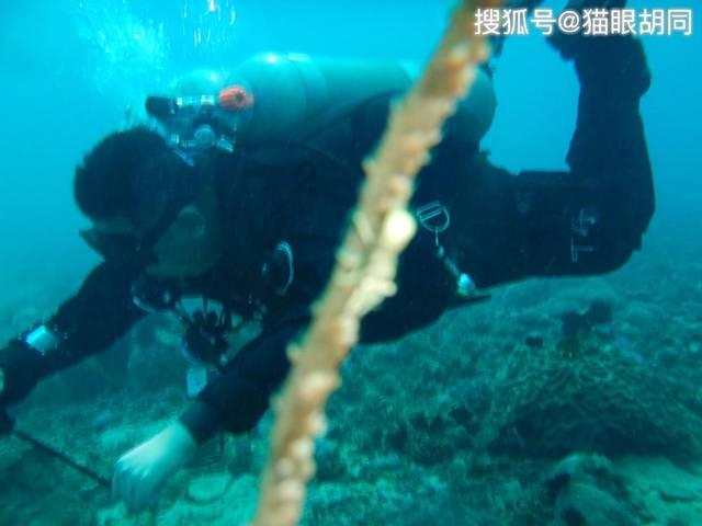 2024年春运川渝黔三地预计发送铁路旅客4800万人次