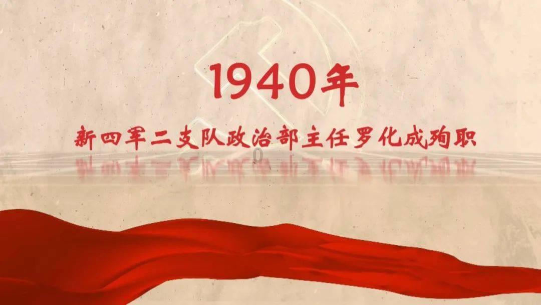 孵化载体,科创好苗的成长“摇篮”