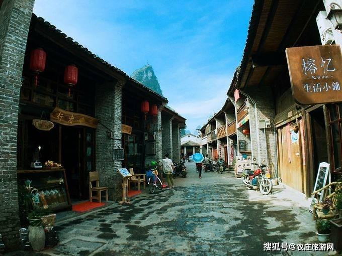 饥饿的松鼠救援